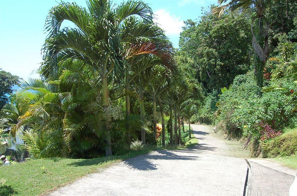 Sailfish Beach Villas Anse a La Mouche Exterior foto